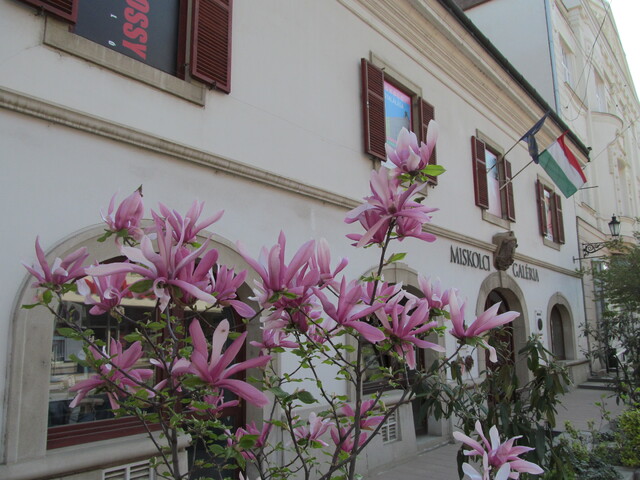 Miskolc Gallery - Rákóczi House