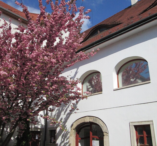 Miskolc Gallery - Rákóczi House