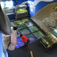 Pannon Sea Museum