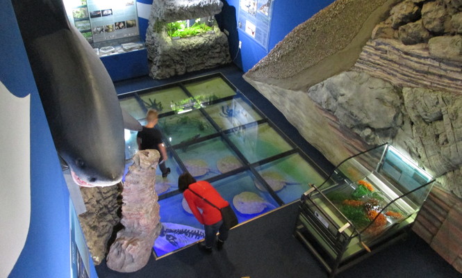 Pannon Sea Museum
