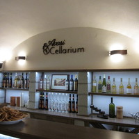 Avas Cellarium Pálinka (wódka)- i winiarnia