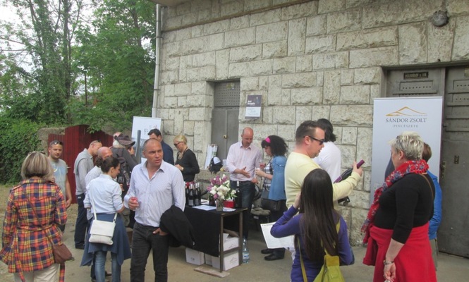 Zsolt Sándor Organic Winery and Wineyards EN
