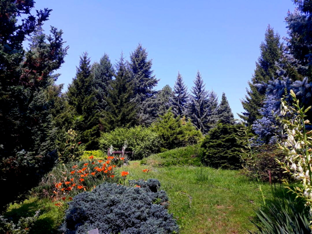 Arboretum an Avas