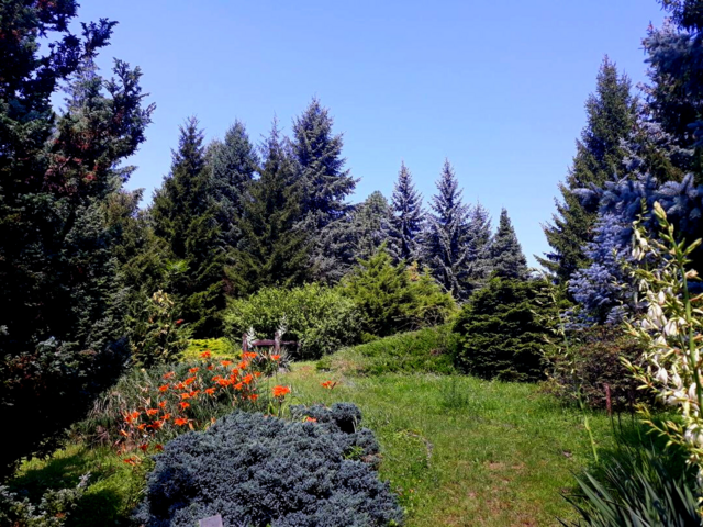 Arboretum at Avas Hill