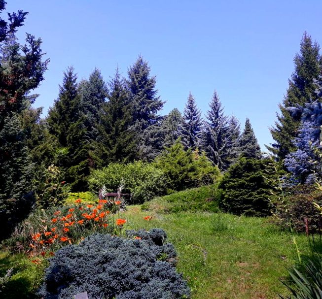 Arboretum at Avas Hill
