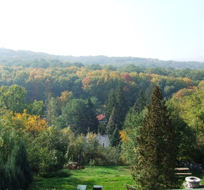 Mókus Apartman (Eichhörnchen Apartman)