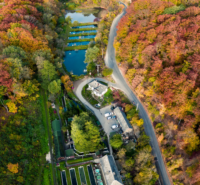 Lillafüred Trout Farm and Bakehouse (EN)