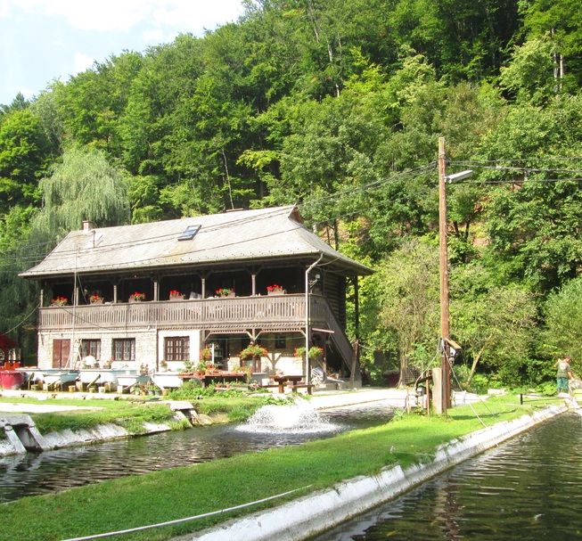 Forellenzucht von Lillafüred – Fischbratküche im Wald