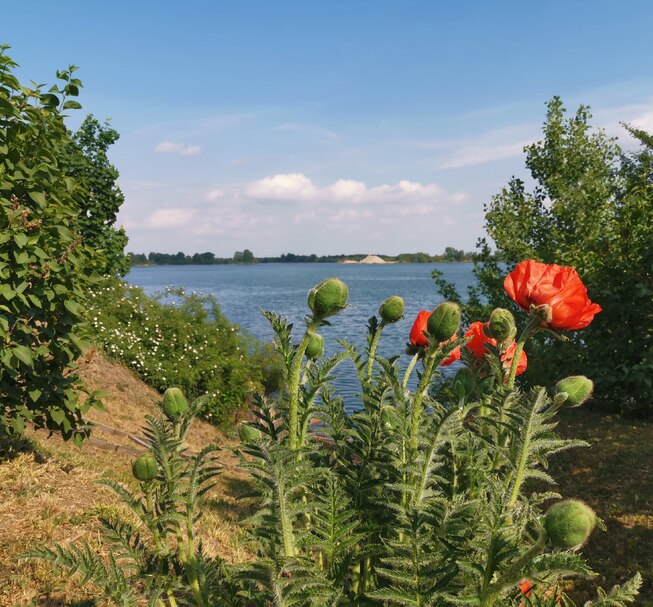 Miskolc környéki tavak