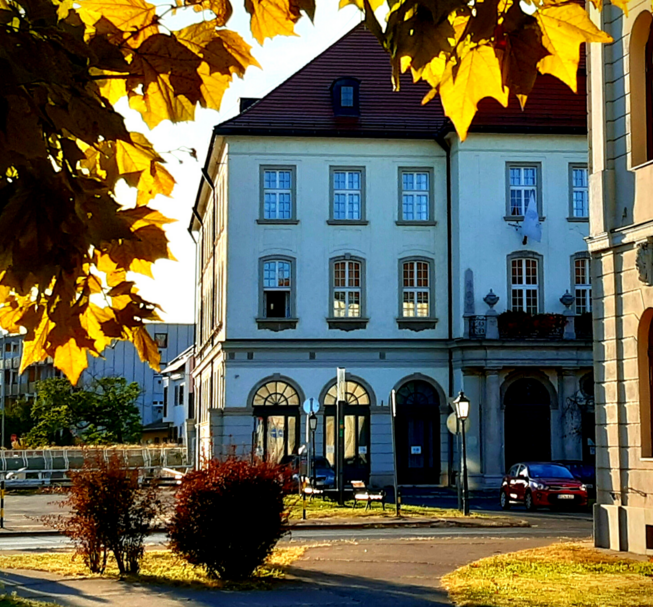 Malmok: az árvíztől a Csodamalomig - garantált városnézés
