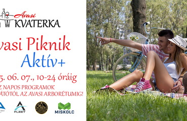 Avasi Kvaterka - Avasi Piknik Aktív+