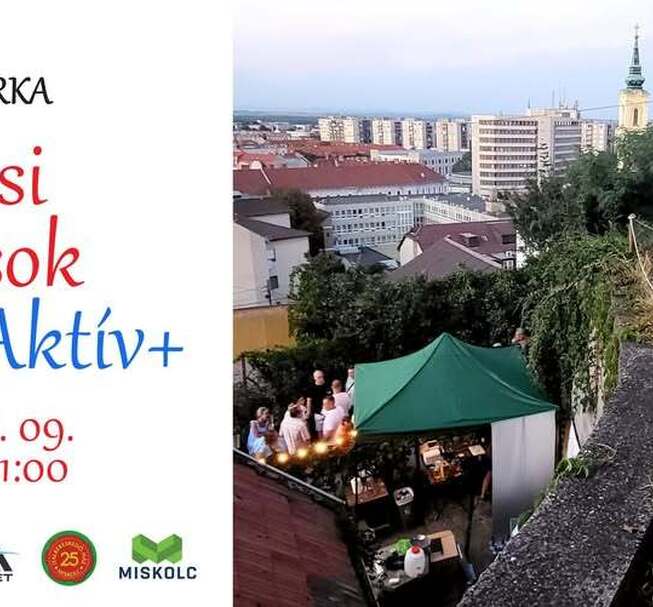 Avasi Kvaterka - Kisavasi ritmusok Aktív+