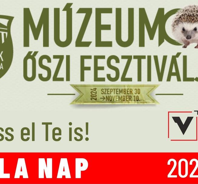 Autumn Festival of Museums - Fazola Days