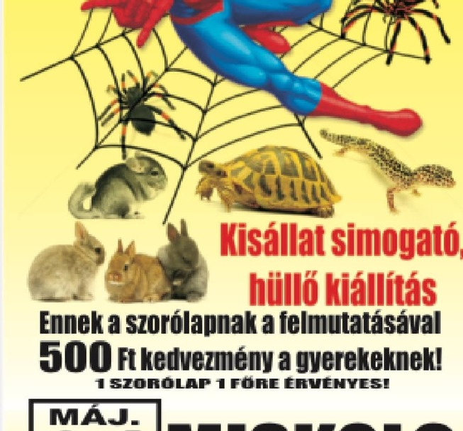 XXL Tarantula Expo