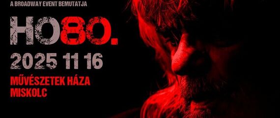 HOBO 80