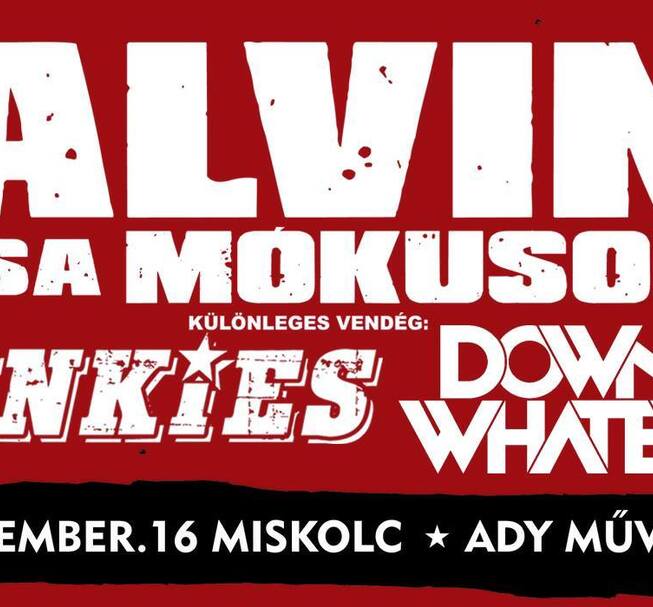 Alvin és a Mókusok-koncert
