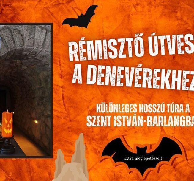 Rémisztő útvesztő a denevérekhez 2.