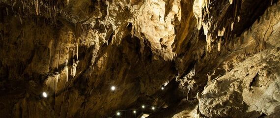 Óévbúcsúztató hosszú túrák