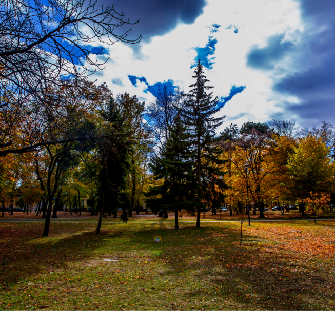 People's Garden (EN)