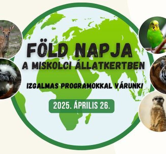 Föld napja a Miskolci Állatkertben