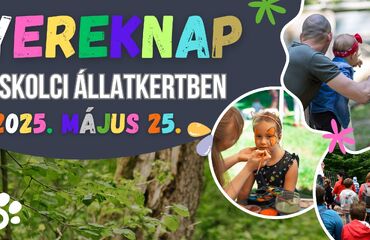 Gyereknap az állatkertben
