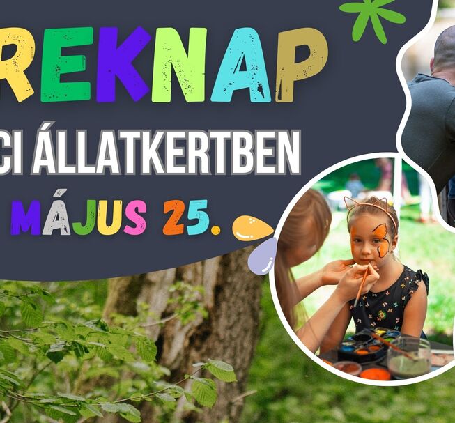 Gyereknap az állatkertben