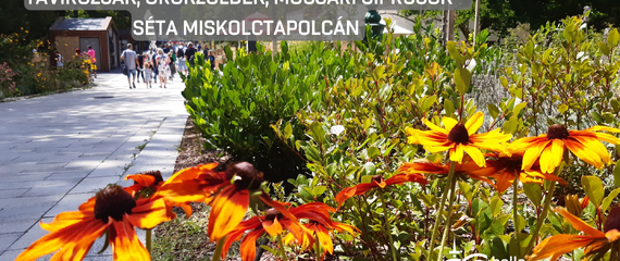 Guided tour in Miskolctapolca