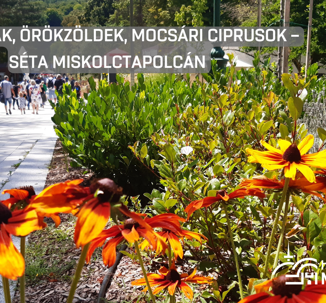 Guided tour in Miskolctapolca