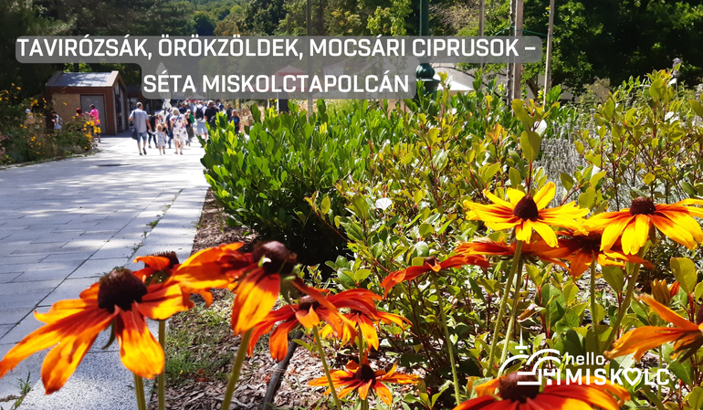 Guided tour in Miskolctapolca