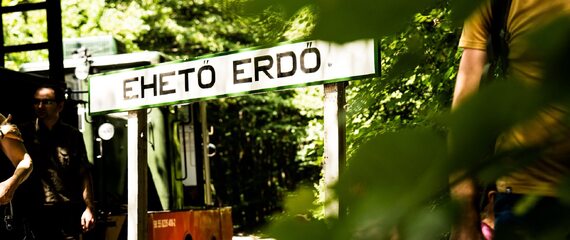 Erdei gasztroexpressz élménytúra
