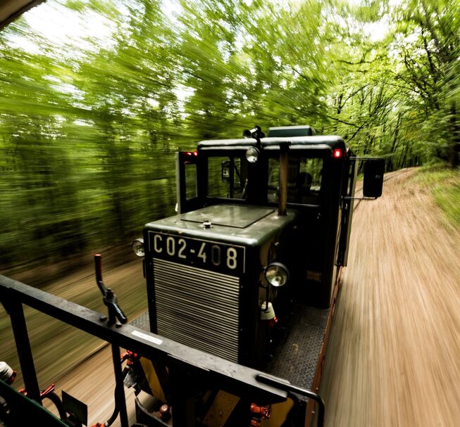 Ehető Erdő Erdei Gasztroexpressz