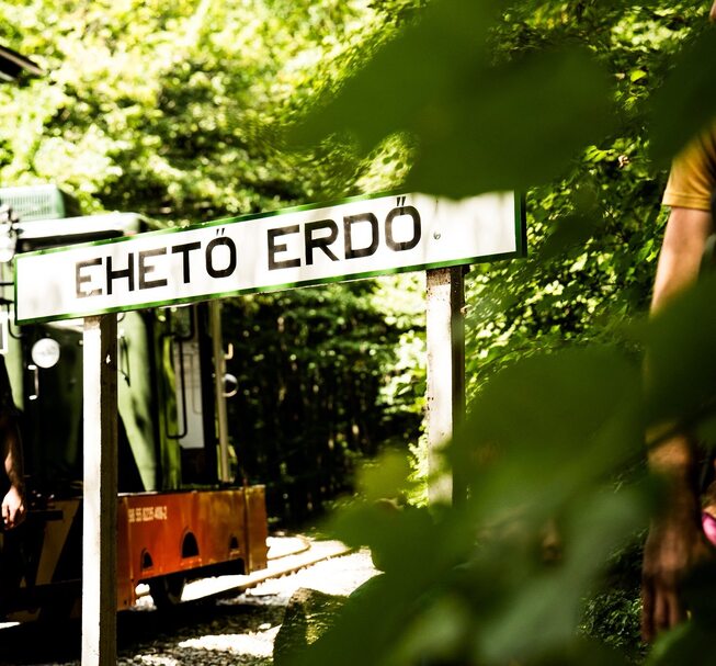 Ehető Erdő Erdei Gasztroexpressz