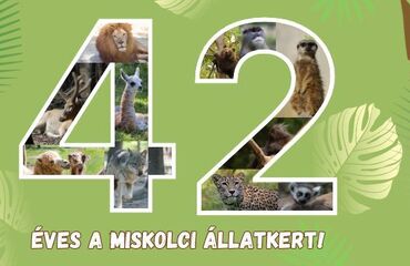 A Miskolci Állatkert születésnapja
