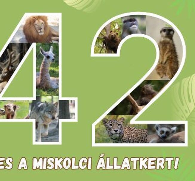 A Miskolci Állatkert születésnapja