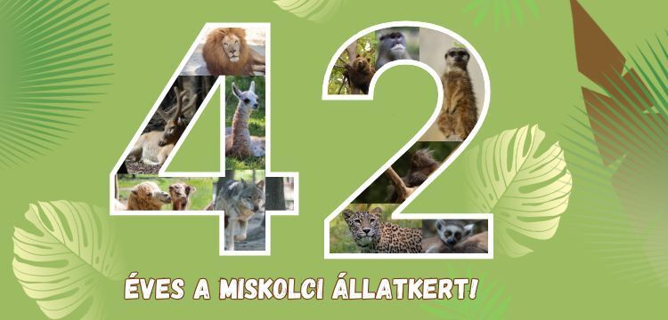 A Miskolci Állatkert születésnapja