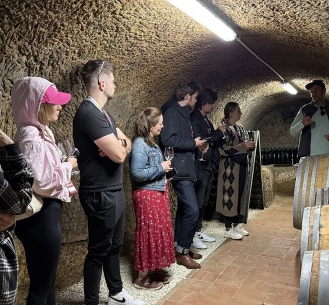 Avas cellar tour with Bükk wine tasting