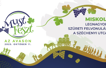 MustFest on Avas