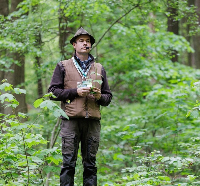 Ehető Erdő Szeleta Szerelvény gasztroexpressz