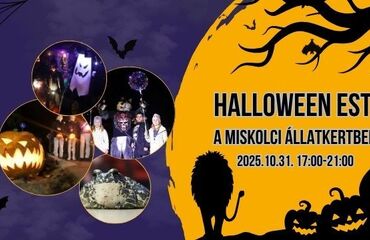 Halloween est az állatkertben