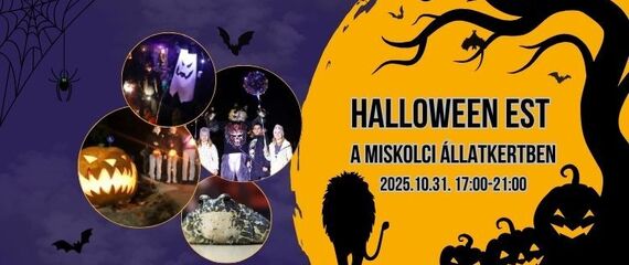 Halloween est az állatkertben