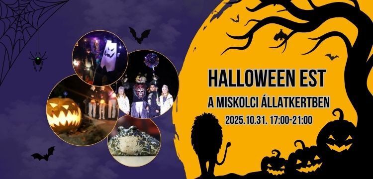 Halloween est az állatkertben Halloween est az állatkertben