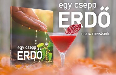 Gyulai Évi és Bózsó Gyula Egy csepp EDRŐ című könyvének dedikálása