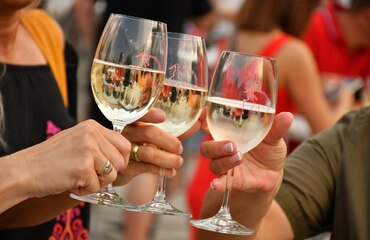 20. Miskolci Fröccsfesztivál