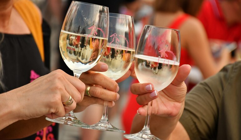 20. Miskolci Fröccsfesztivál 20. Miskolci Fröccsfesztivál