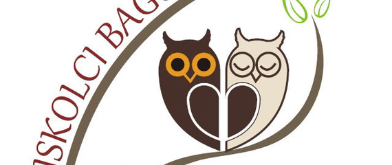 XI. Miskolci Bagolyles