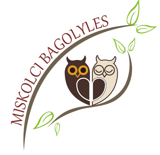 XI. Miskolci Bagolyles XI. Miskolci Bagolyles