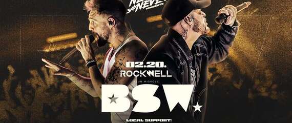 BSW koncert