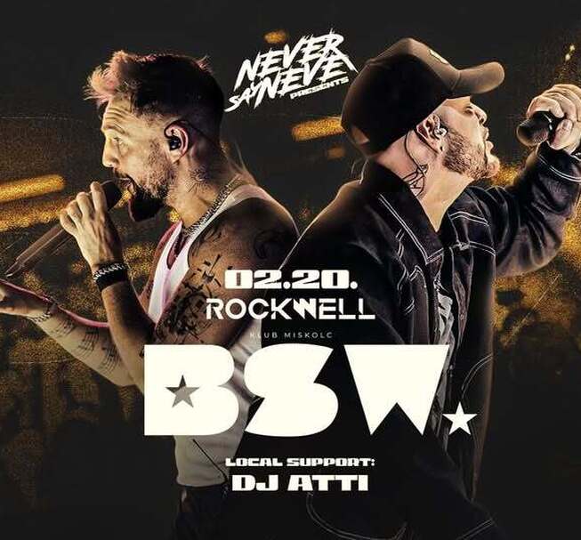 BSW koncert