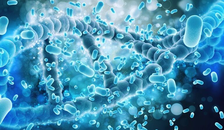 A társas lét és a magány biokémiája A társas lét és a magány biokémiája