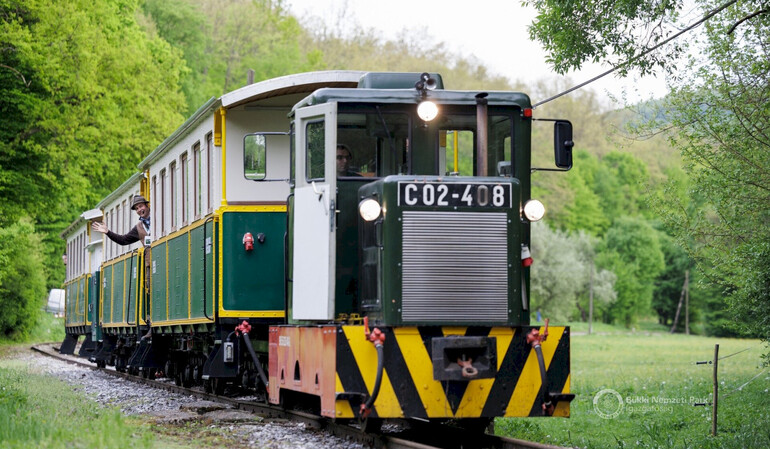 Ehető Erdő Szeleta Szerelvény Gasztroexpressz